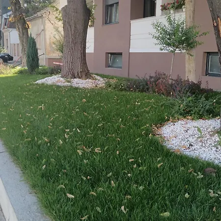 Zemun アパート *